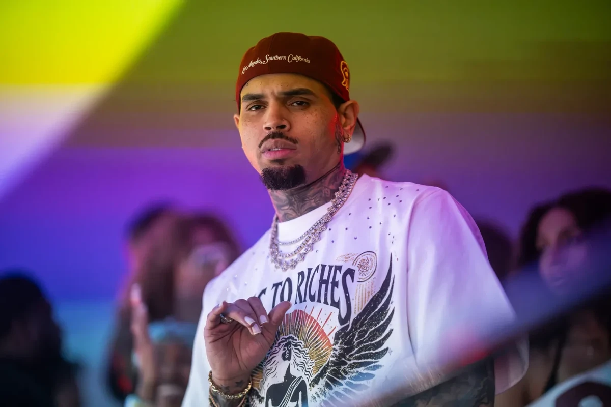 Chris Brown Dog-Mauling Trial Delayed Over Mistrial