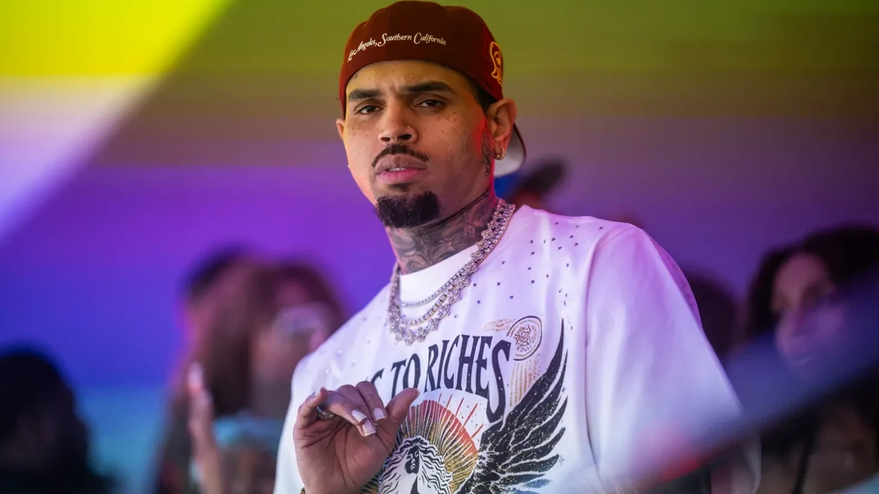 Chris Brown Dog-Mauling Trial Delayed Over Mistrial