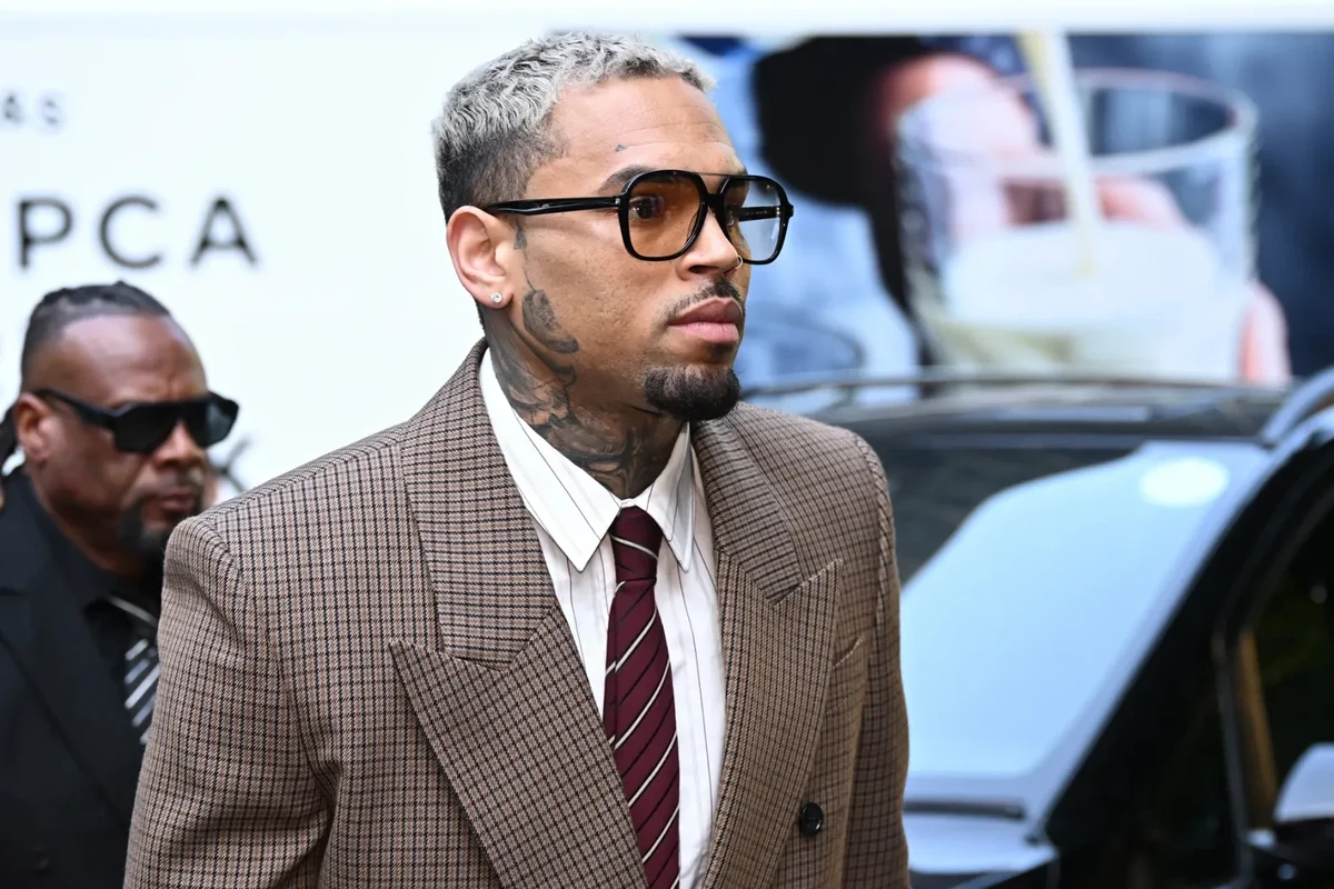 Chris Brown Battling To Exclude Rihanna Assault at Dog Bite Trial