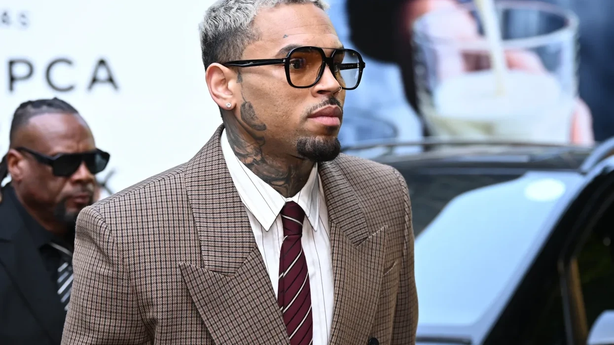 Chris Brown Battling To Exclude Rihanna Assault at Dog Bite Trial