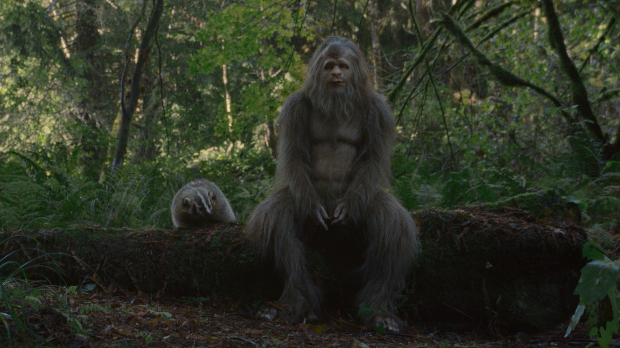 ‘Sasquatch Sunset’: What’s Hairy, Horny, and Puts Its Best Bigfoot Forward?