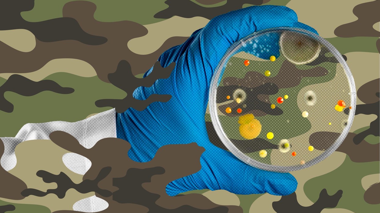 Could a Conflict-Borne Superbug Bring on Our Next Pandemic?