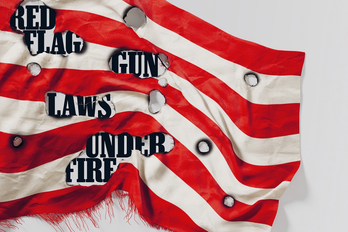 How Second Amendment Radicals Are Attacking Laws Meant to Keep Firearms Out of the Wrong Hands