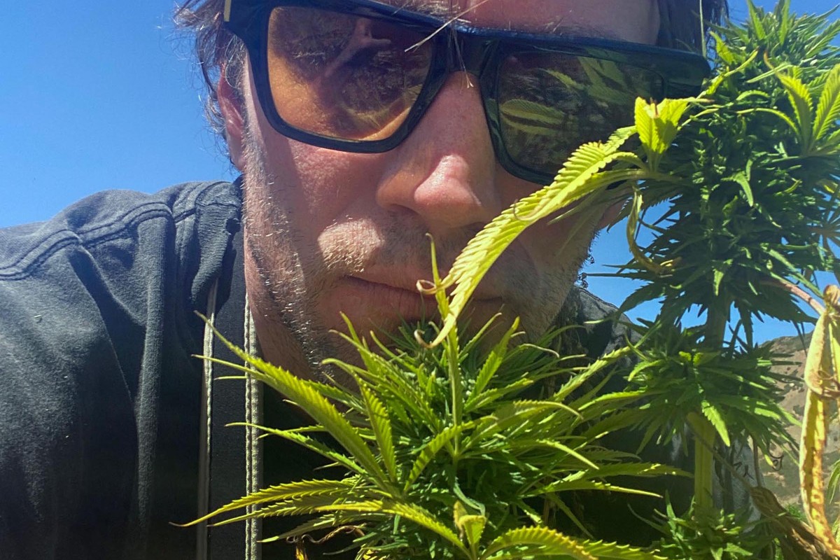 Can a Weed Hustler Go Legit?