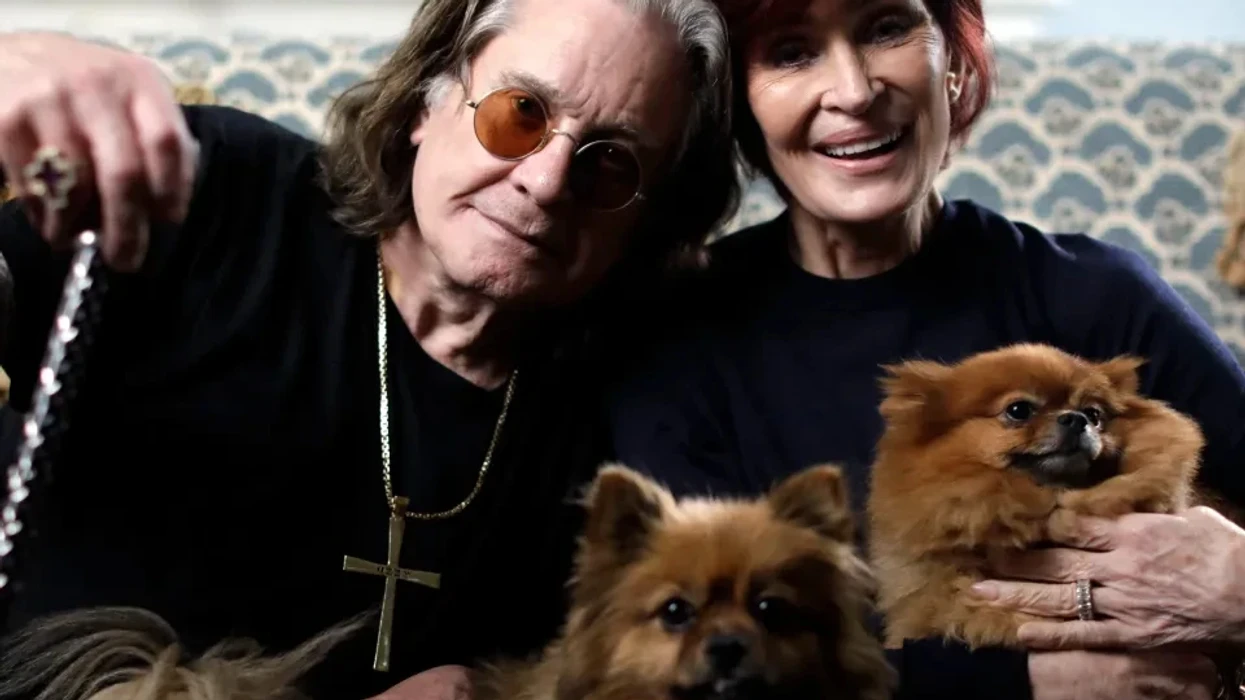 Ozzy retourne en Angleterre dans la bande-annonce émouvante de Coming Home