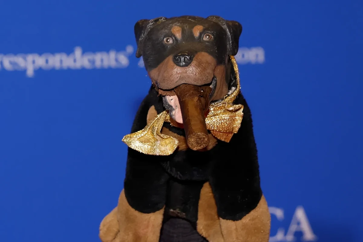 Watch Triumph the Insult Comic Dog Roast Pete Hegseth, Karoline Leavitt at White House Correspondents’ Dinner