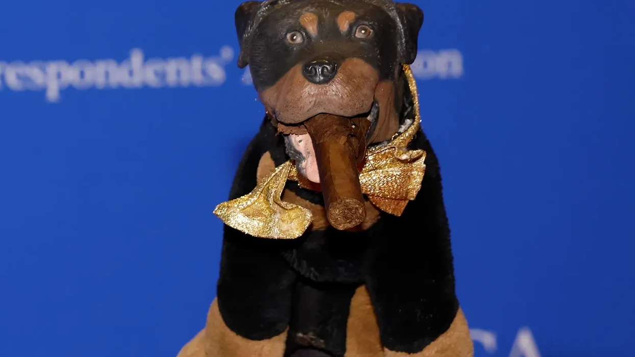 Watch Triumph the Insult Comic Dog Roast Pete Hegseth, Karoline Leavitt at White House Correspondents’ Dinner